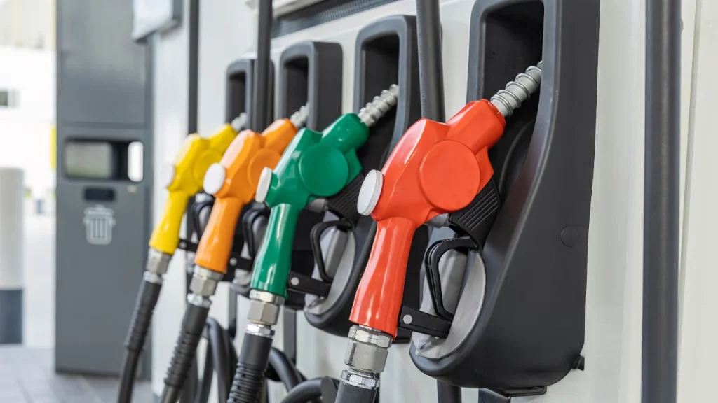 Petrol Subsidy App - How It Works